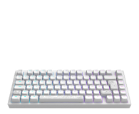 DARK PROJECT ALU81A Terra Nostra White ISO DE Multilingual Support - 1456415 - zdjęcie 6